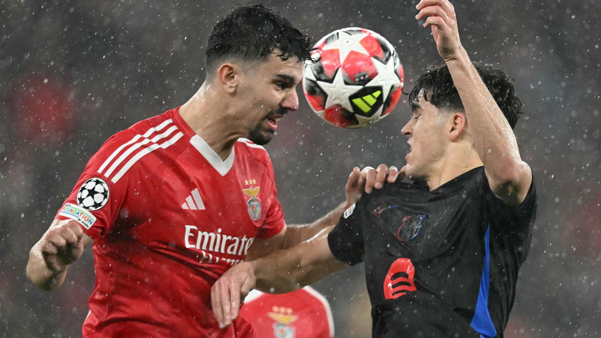 员个体爆发 员个体爆发