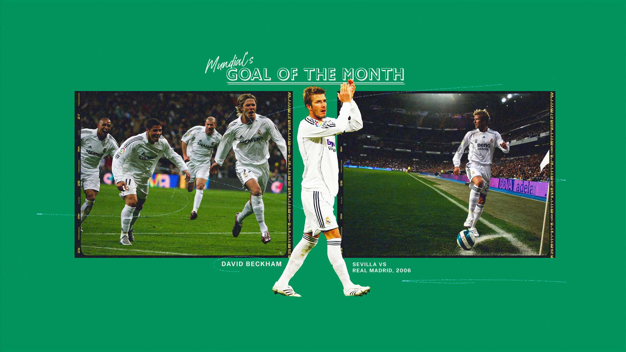 為何罰款 為何罰款