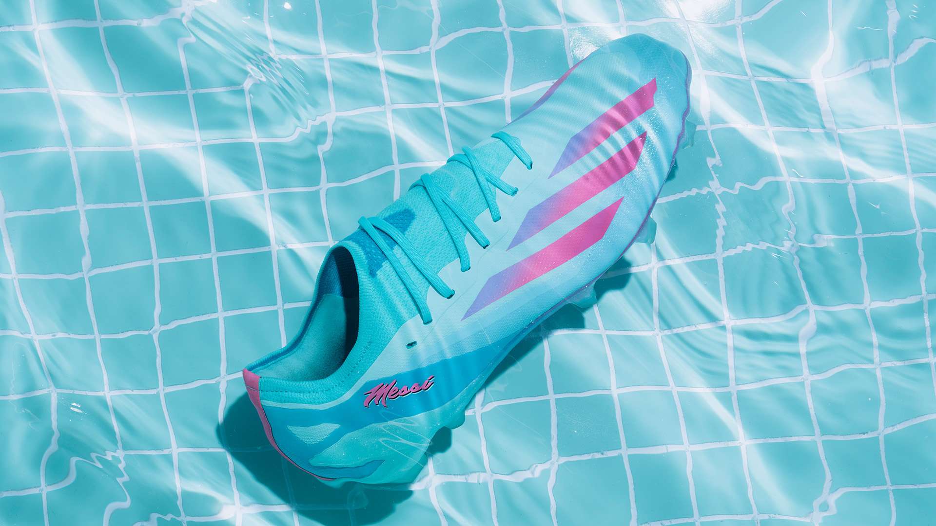 强赛开始 强赛开始